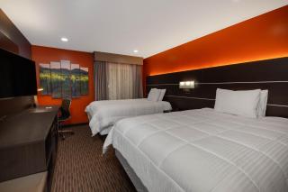 Hotel Vinea Healdsburg - Healdsburg - 5