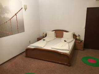Pension La Noblesse - Bucarest - 8