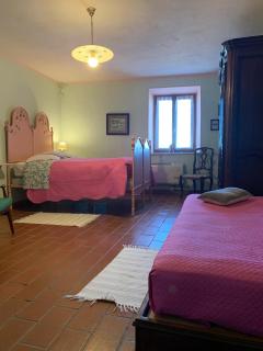 Cascina Alberta - Vignale Monferrato - 8