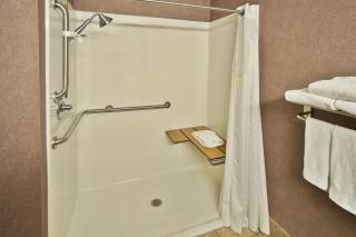 Holiday Inn Express Hotel & Suites Woodhaven by IHG - Woodhaven - 4