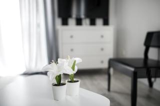 Apartament Nadbystrzycka no.14 - Lublin - 7