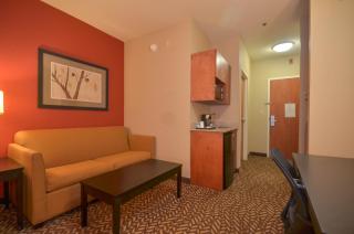 Holiday Inn Express & Suites Pine Bluff/Pines Mall by IHG - Pine Bluff - 5