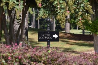 Golf Resort Studion Villa 1202L - Calabash - 4
