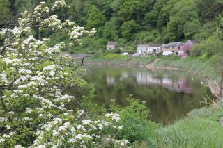 Wye Valley Hotel - Tintern - 6
