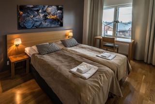 Ruka Chalets Ski-Inn - Ruka - 2