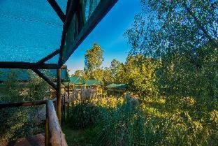 Amadwala Lodge - Roodepoort - 2