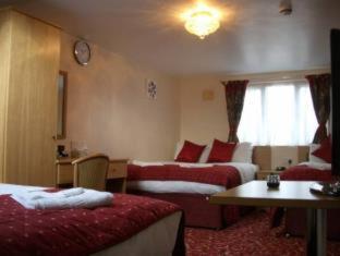 Britannia Inn Hotel - Ilford - 9