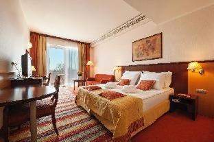Grand Hotel Primus - Terme Ptuj - Sava Hotels & Resorts - Ptuj - 2