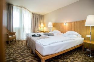Lotus Therme Hotel & Spa - Hévíz - 6