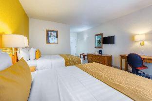 Comfort Inn Tampico - Tampico - 4