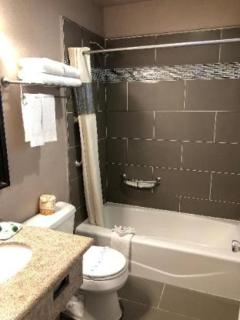 Alamo Inn and Suites - Convention Center - Anaheim - 3