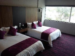 Wyndham Garden Aguascalientes Hotel & Casino - Aguascalientes - 9
