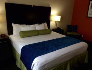 Cityview Inn & Suites Downtown /RiverCenter Area - San Antonio - 9