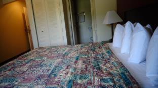 Regal Inn Chicago O'Hare - Franklin Park - Franklin Park - 8