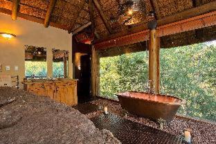 Sediba Luxury Safari Lodge - Welgevonden Game Reserve - 1