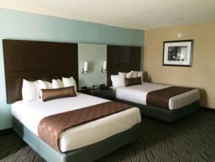 Best Western Plus Galleria Inn & Suites - Memphis - 3