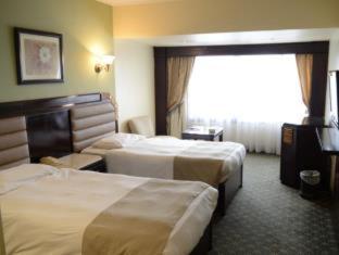 Pyramisa Suites Hotel Cairo - Il Cairo - 9