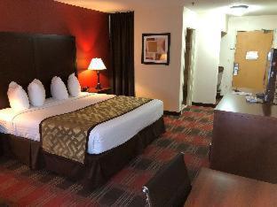 Best Western Dallas Inn & Suites - 8