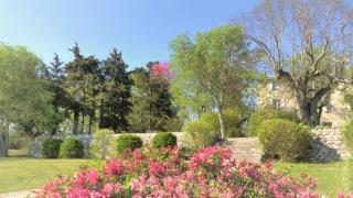 Domaine de Conillières - Saint-Maximin-la-Sainte-Baume - 4