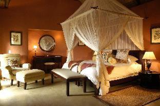 Motswiri Private Safari Lodge - 7