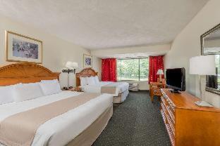 The Pell, Part of JdV by Hyatt - 3