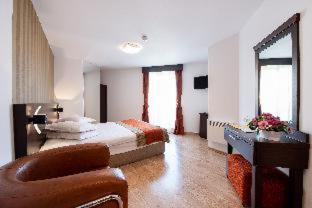 Hotel Duke Armeneasca City Center - 9