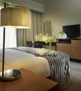 Southern Sun Hyde Park Sandton - Johannesburg - 8