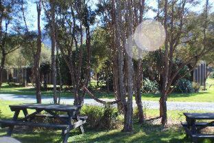 The Barn Cabins & Camp - Marahau - 8