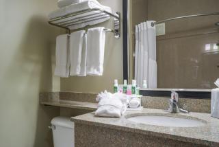 Holiday Inn Express Hotel & Suites St. Paul - Woodbury by IHG - 4