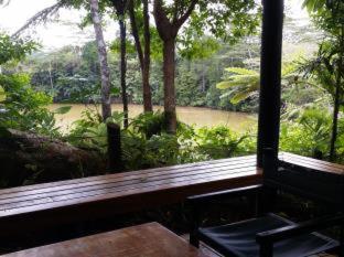 Rainforest Eco Lodge - Suva - 6