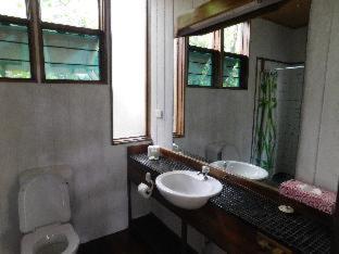 Rainforest Eco Lodge - Suva - 4