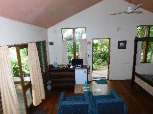 Rainforest Eco Lodge - Suva - 1