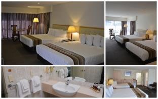 Paihia Pacific Resort Hotel - 5