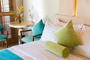 Solina Beach & Nature Resort - 6