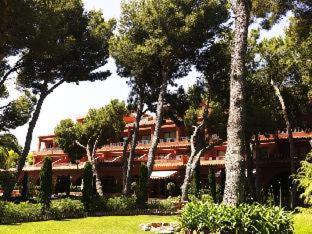 Intelier Bonaire - Benicàssim - 7