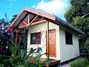 Tanna Evergreen Resort & Tours - Insel Tanna - 3
