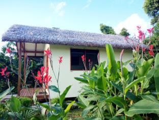 Tanna Evergreen Resort & Tours - Insel Tanna - 2