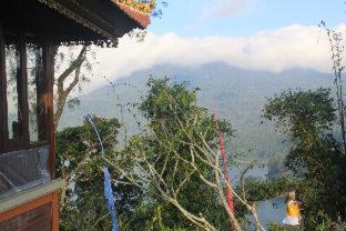The Garuda Villa and Restaurant - Bedugul - 3