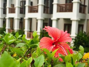 Le Palais Juliana - Luang Prabang - 5