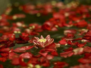 Khmer Mansion Boutique Hotel - Siem Reap - 8