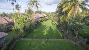 Ananda Ubud Resort - Ubud - 9