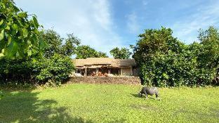 The Beige - Siem Reap - 8