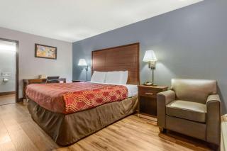 Econo Lodge - Rock Hill - 4
