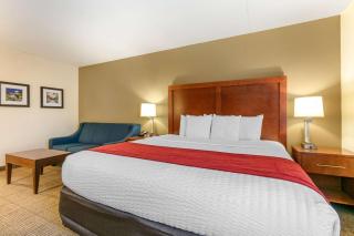 Comfort Inn Downtown - Chattanooga - 7