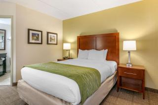 Comfort Inn Downtown - Chattanooga - 1