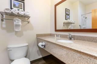 Comfort Suites - Batesville - 4