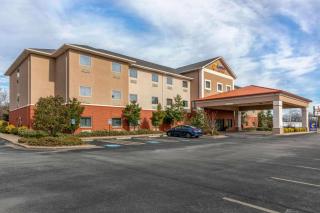 Comfort Suites - 9