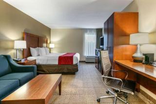 Comfort Inn Downtown - Chattanooga - 4