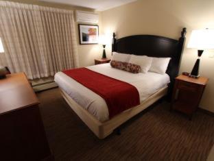 Village of Loon Mountain - Lincoln - 9