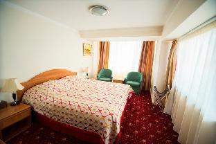 Ani Plaza Hotel - 7